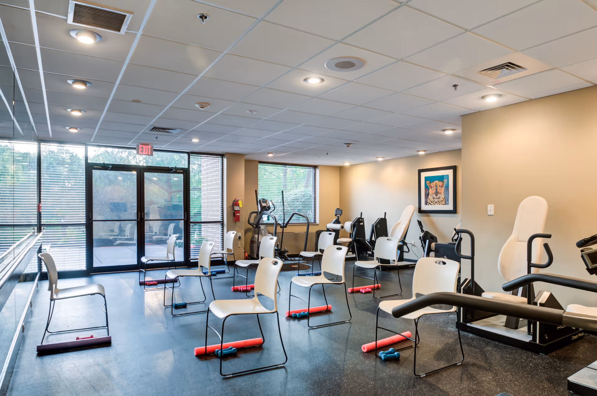 A fitness room with several white chairs spaced apart, each paired with red and blue dumbbells on the floor. The room has exercise machines along the walls, large windows with blinds, and a glass door leading outside. A framed picture of a leopard hangs on the beige wall.