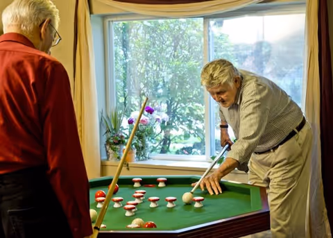 Two elderly men playing a game of billiards on a green pool table in a room with a large window showing greenery outside. One man is leaning over the table aiming his cue stick, while the other watches.