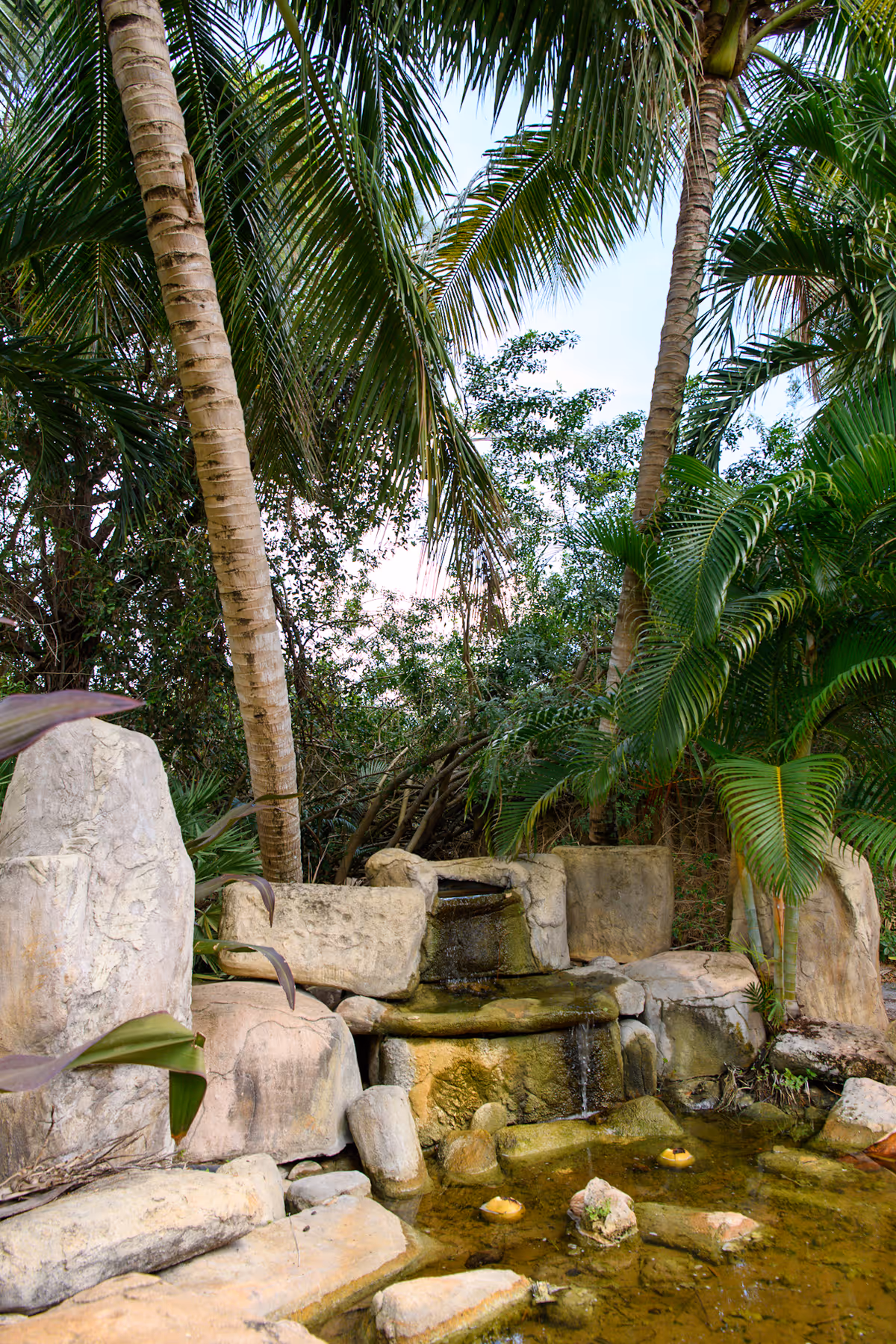 A small rock waterfall and pond surrounded by palm trees and tropical plants.