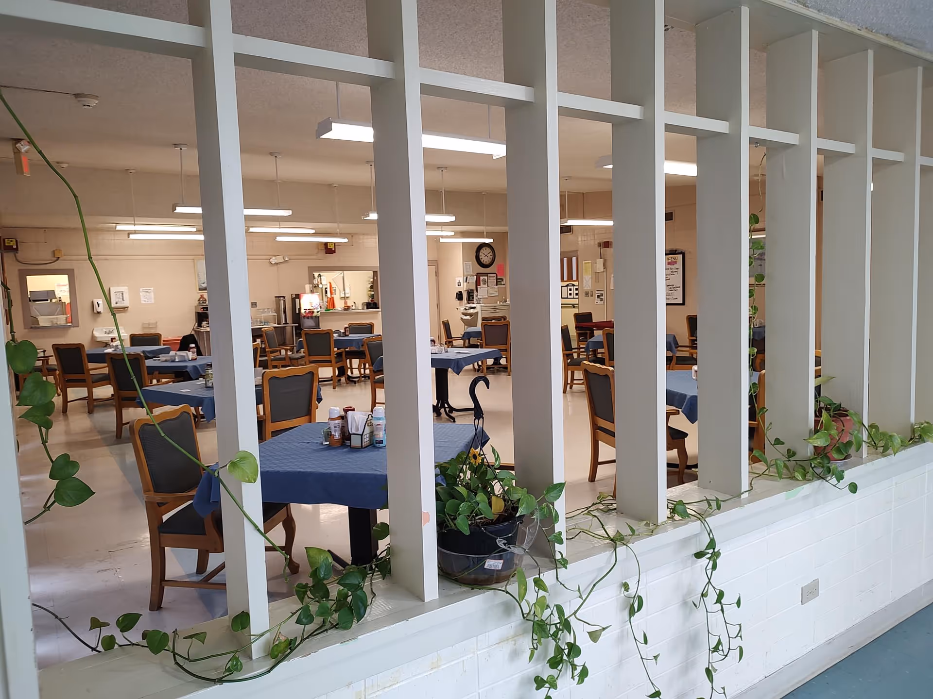 View through white vertical slats into a dining room with multiple tables covered with blue tablecloths and wooden chairs with dark cushions. There are condiment holders on the tables and fluorescent lights hanging from the ceiling. Green leafy plants are draped along the white slats and ledge in the foreground.