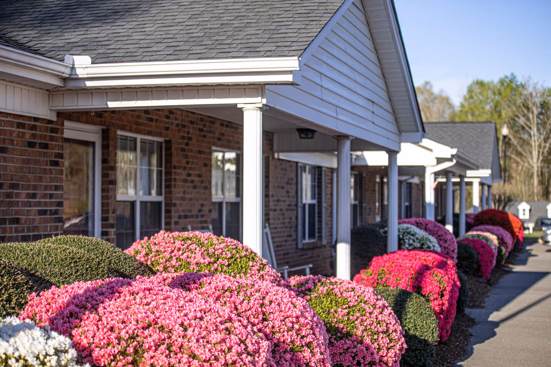 Exterior view of a brick building with white columns and a row of colorful flowering bushes along the sidewalk under a clear sky.