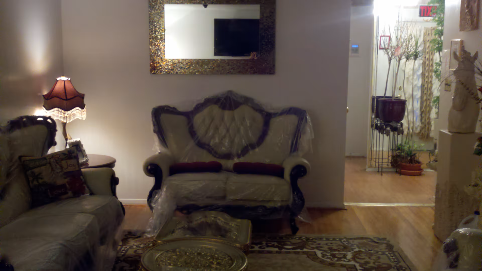 A living room with ornate sofas covered in plastic, a side table with a lamp, a decorative mirror on the wall, and a view into a plant-filled entryway.