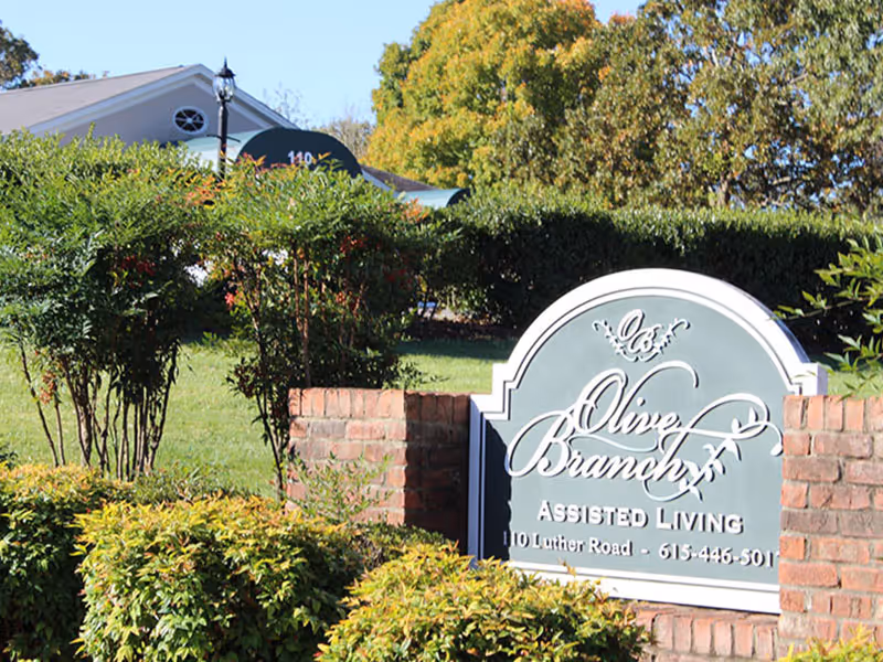 Entrance sign for Olive Branch Assisted Living set in landscaped grounds with the facility building visible behind.