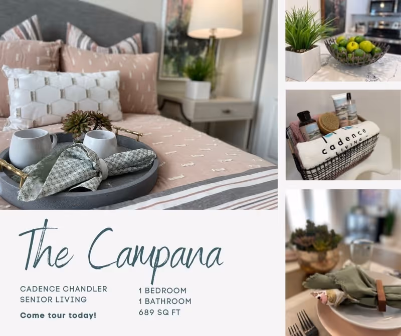 A collage of images showcasing a senior living apartment named The Campana at Cadence Chandler. The main image shows a neatly made bed with decorative pillows and a tray holding two white mugs and a cloth napkin. Smaller images include a kitchen countertop with a bowl of green apples and a small plant, a basket with toiletries and a towel labeled 'cadence living', and a dining table setting with a plate, napkin, and glass. Text on the image provides details: 1 bedroom, 1 bathroom, 689 square feet, and an invitation to tour the facility.