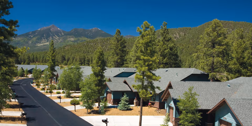 Single-story residential cottages along a paved road surrounded by pine trees with mountains and a clear blue sky in the background.