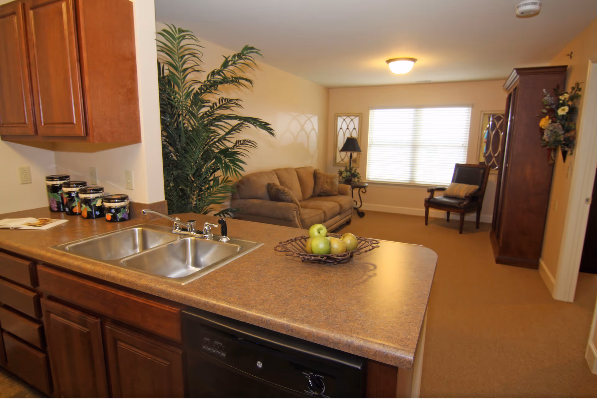 Interior view of a senior living facility showing a kitchen counter with a double sink and a basket of green apples. Behind the counter is a living room area with a beige sofa, a large potted plant, a wooden chair with a cushion, a wooden cabinet, and a window with blinds letting in natural light.