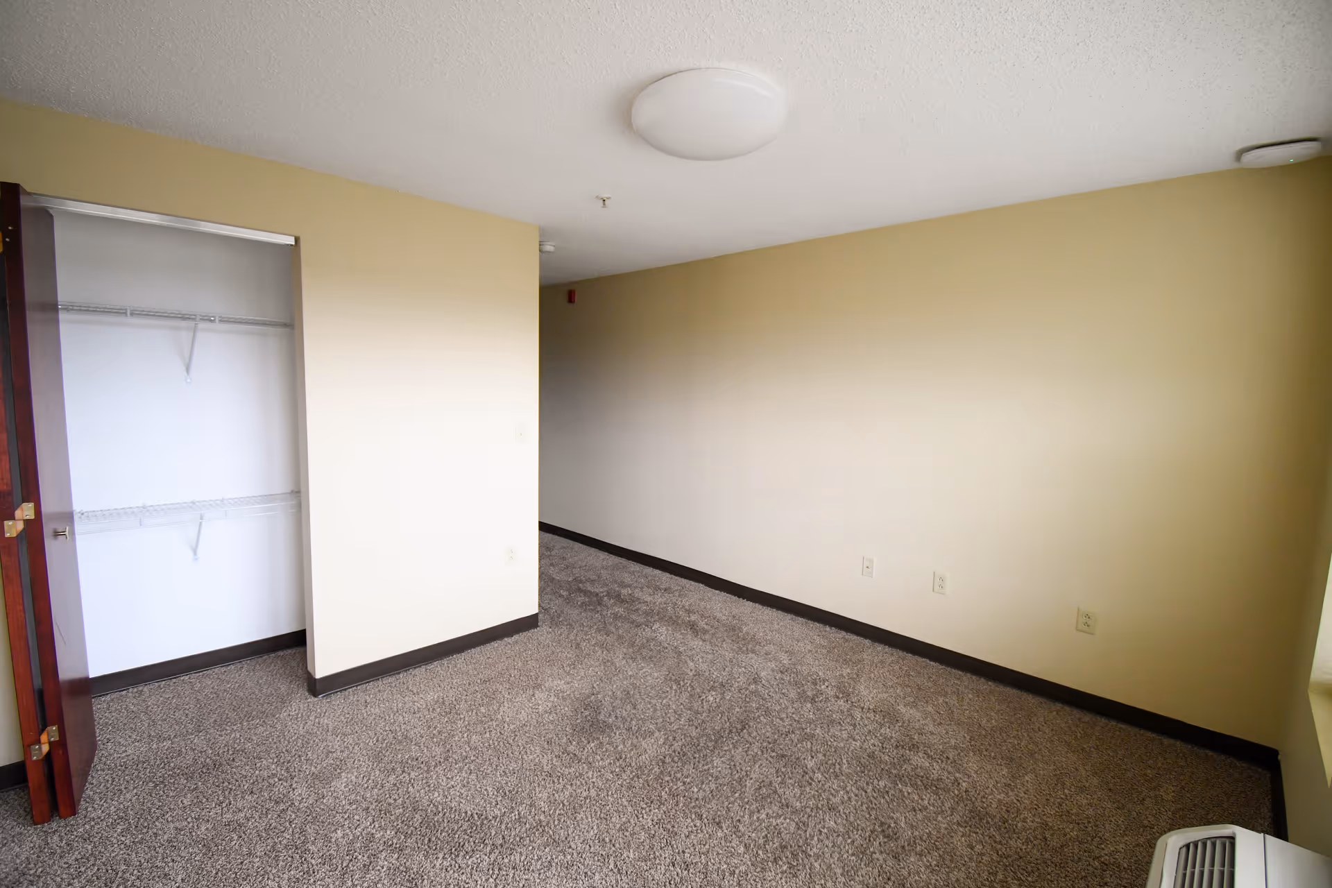 Empty carpeted room with an open closet, beige walls, a ceiling light, and a baseboard heater.