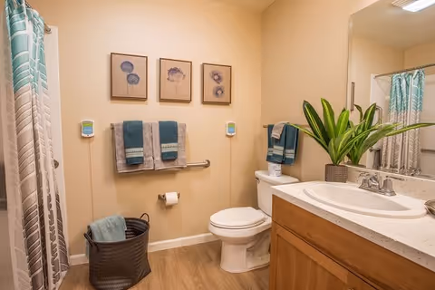 Accessible bathroom with a toilet, sink vanity, shower curtain, towel bars with folded towels, and framed wall art.