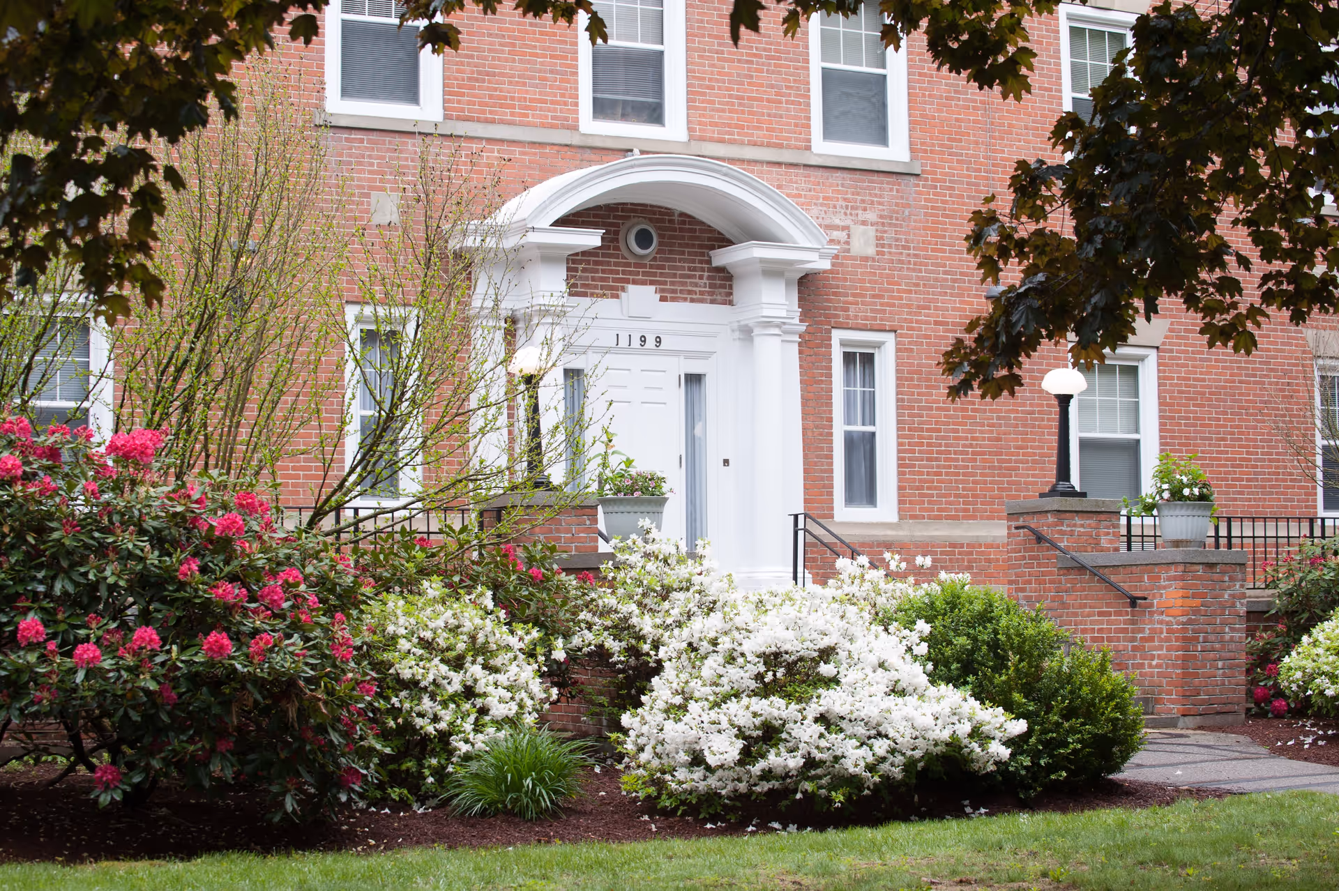 Brick building front with a white columned entrance and steps surrounded by flowering shrubs and trees.