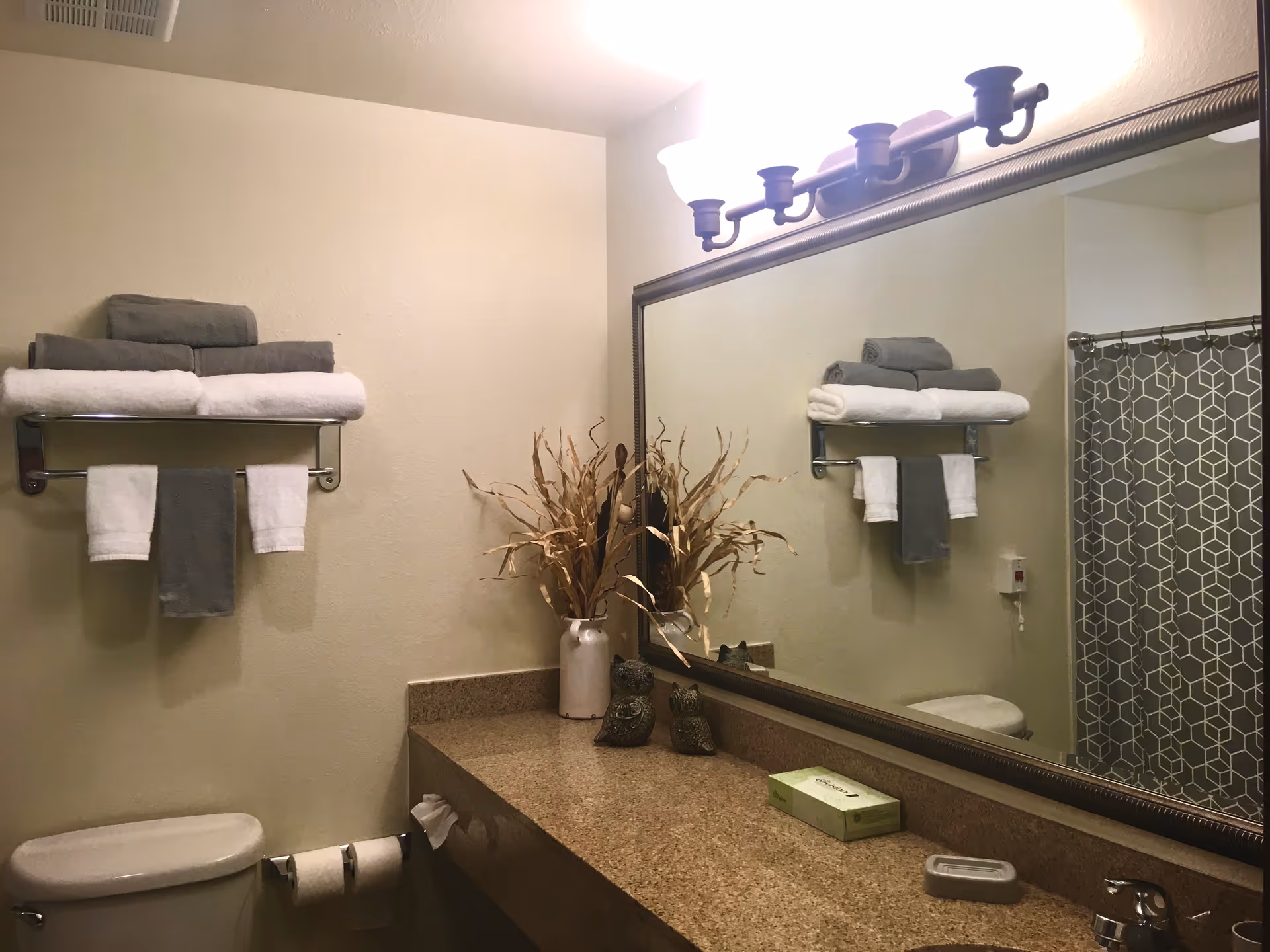 Well-lit bathroom with a large mirror, countertop with decorative items, towel rack above the toilet, and a shower with a patterned curtain.