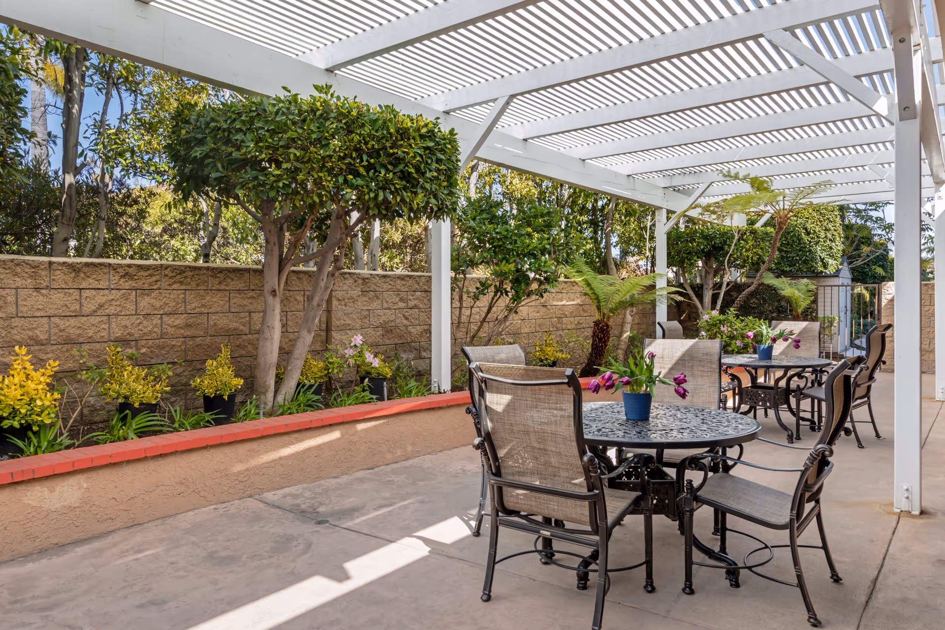 Outdoor patio area with metal tables and chairs under a white pergola. Potted plants with purple flowers are placed on the tables. The patio is surrounded by a low wall with various green plants and trees along the perimeter.