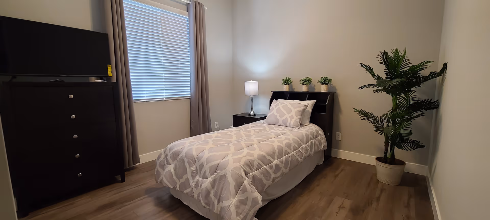 A small, neatly arranged bedroom with a single bed covered in a light gray and white patterned comforter and pillow. Next to the bed is a nightstand with a lamp and three small potted plants on the headboard. A large potted plant is placed in the corner of the room. Across from the bed is a dark wooden dresser with a flat-screen TV on top. The room has light-colored walls, wood flooring, and a window with closed blinds and gray curtains.