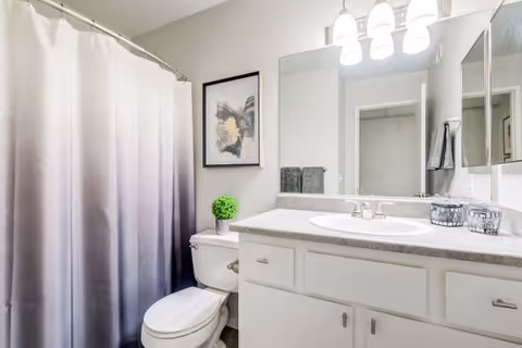 A clean and modern bathroom featuring a white toilet, a countertop with a sink, two decorative candle holders, a small green plant, a framed abstract artwork on the wall, a large mirror above the sink, and a shower with a gray ombre curtain.