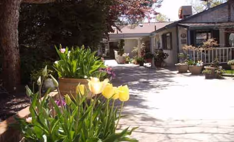 Sunny outdoor courtyard at Meadowview Manor with potted flowers and a building entrance