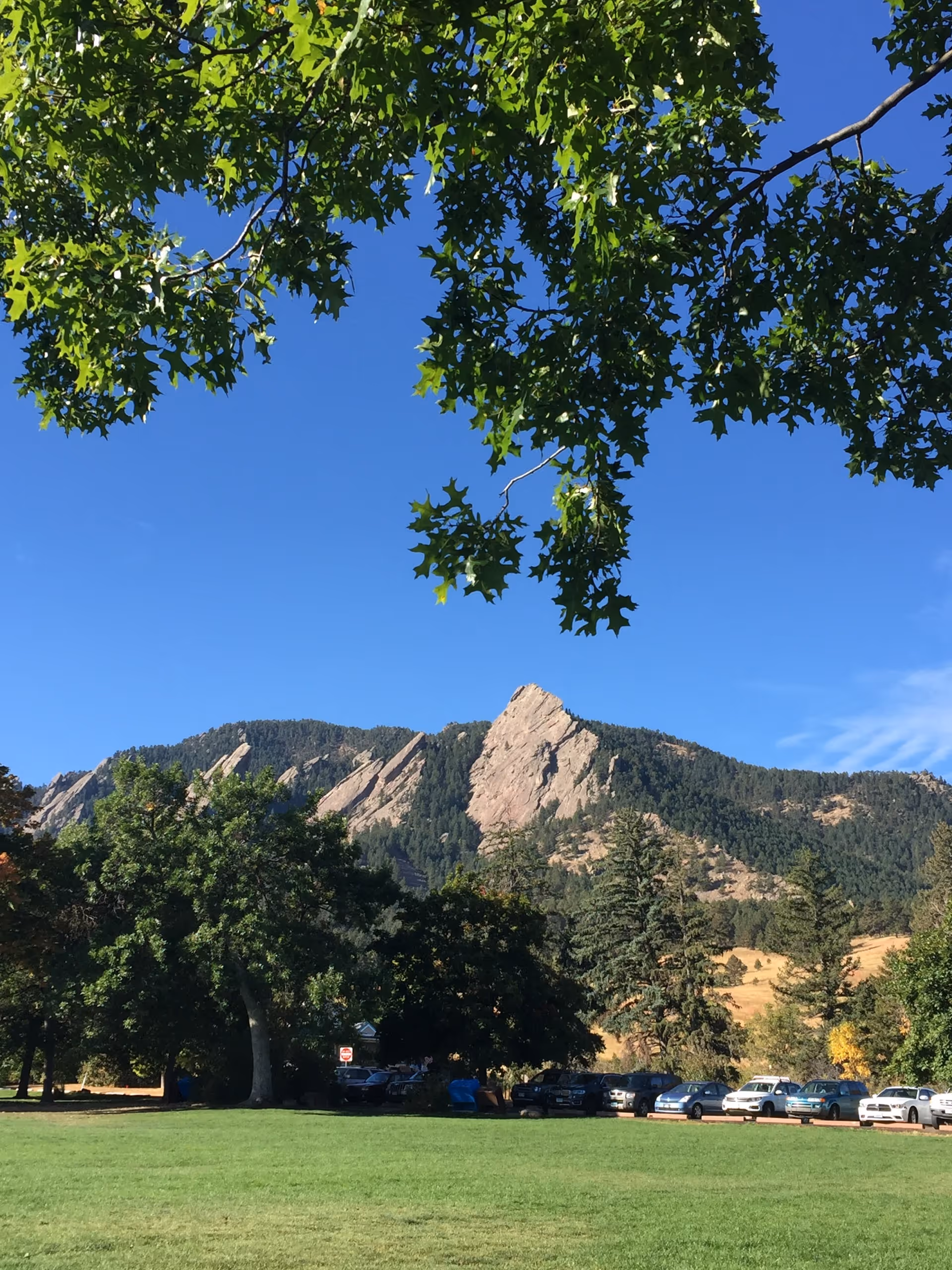A scenic outdoor view featuring a grassy park area with several trees, a row of parked cars, and a mountain range with rocky peaks in the background under a clear blue sky. Green tree branches frame the top of the image.