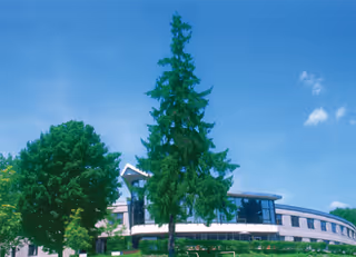 A modern curved building with large windows surrounded by green trees under a clear blue sky.