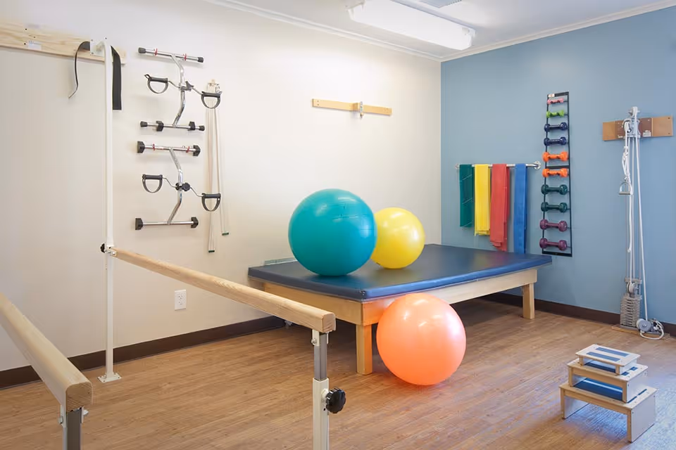 A physical therapy room with wooden parallel bars, a padded therapy table with three exercise balls in green, yellow, and orange, resistance bands hanging on the wall, a rack of colorful dumbbells, and a small set of wooden steps on a wood floor.