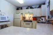 Small bright kitchen with white cabinets, refrigerator, stove, microwave, sink and a countertop with decorative plants above the cabinets.