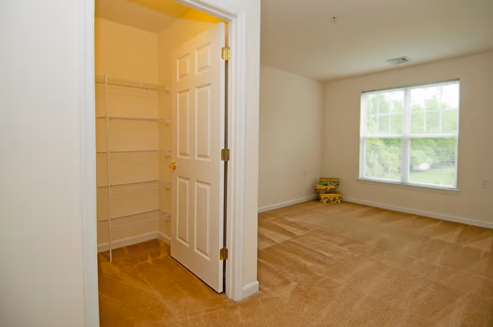 Empty carpeted bedroom with an open closet and a large window showing greenery outside.