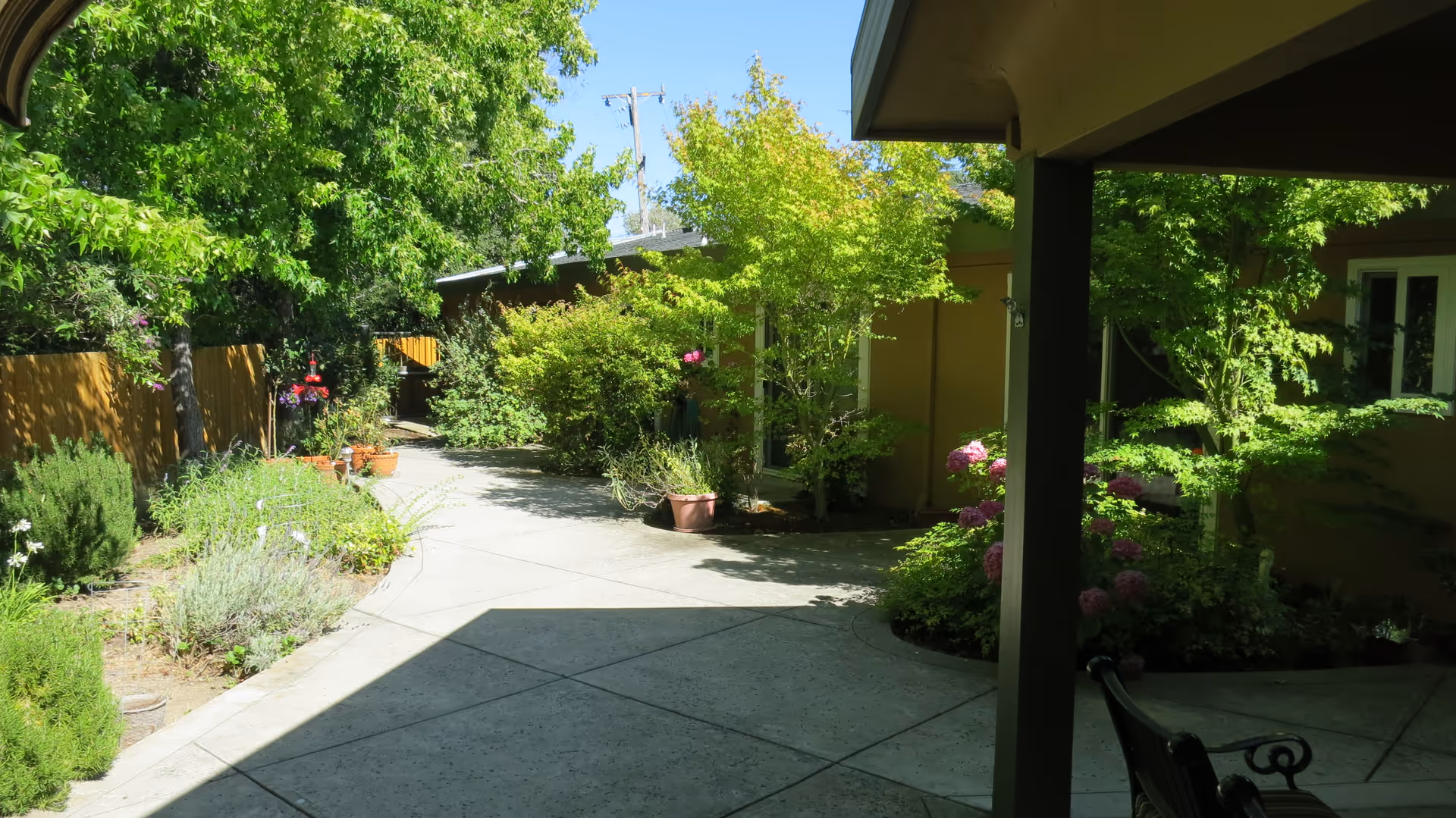 Shaded courtyard with a paved walkway, potted plants, and lush greenery beside a single-story building.