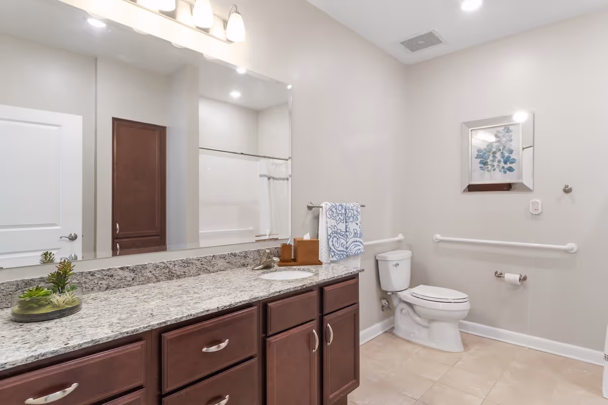 A clean and spacious bathroom with a granite countertop, dark wood cabinets, a large mirror, a toilet with grab bars on the wall, a towel rack with a blue and white patterned towel, a small plant on the counter, and a framed artwork on the wall.