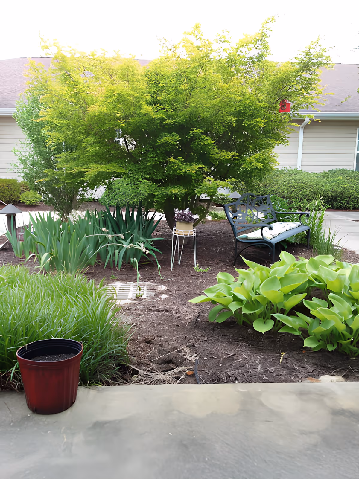 A garden area with various green plants and bushes, a small tree in the center, a decorative metal bench with a cushion on the right, and a small plant stand holding a potted plant. A beige building with white trim is visible in the background.