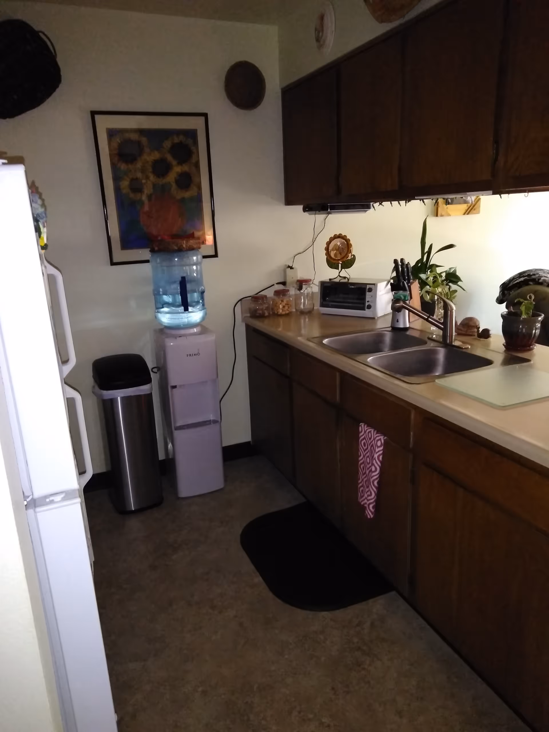 A small kitchen area with wooden cabinets, a double sink, a countertop with a toaster oven, knife block, and potted plants. There is a water dispenser and a trash can against the wall, with a framed sunflower painting hanging above them.