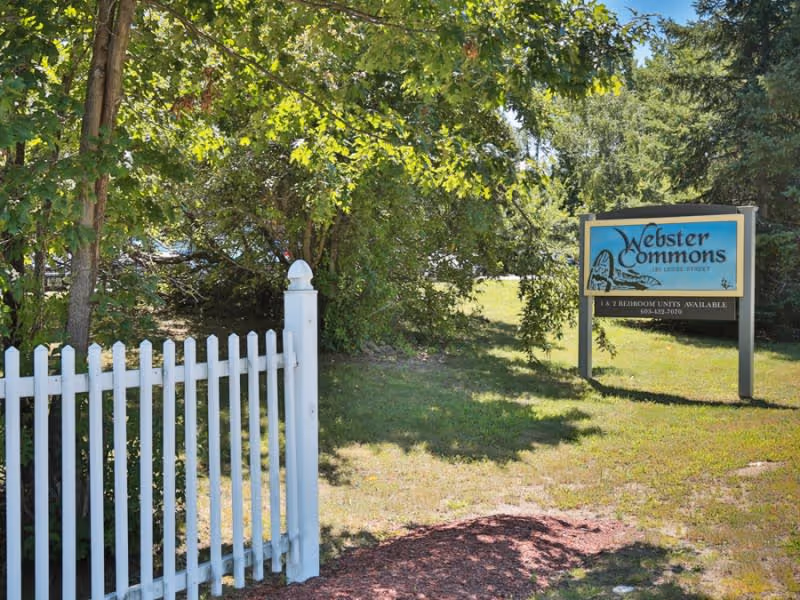 Outdoor scene showing a white picket fence and a sign for Webster Commons surrounded by green trees and grass on a sunny day.
