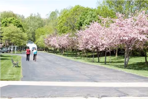 Tree-lined outdoor path at Yorkshire Manor with pink-blossomed trees and two walkers.