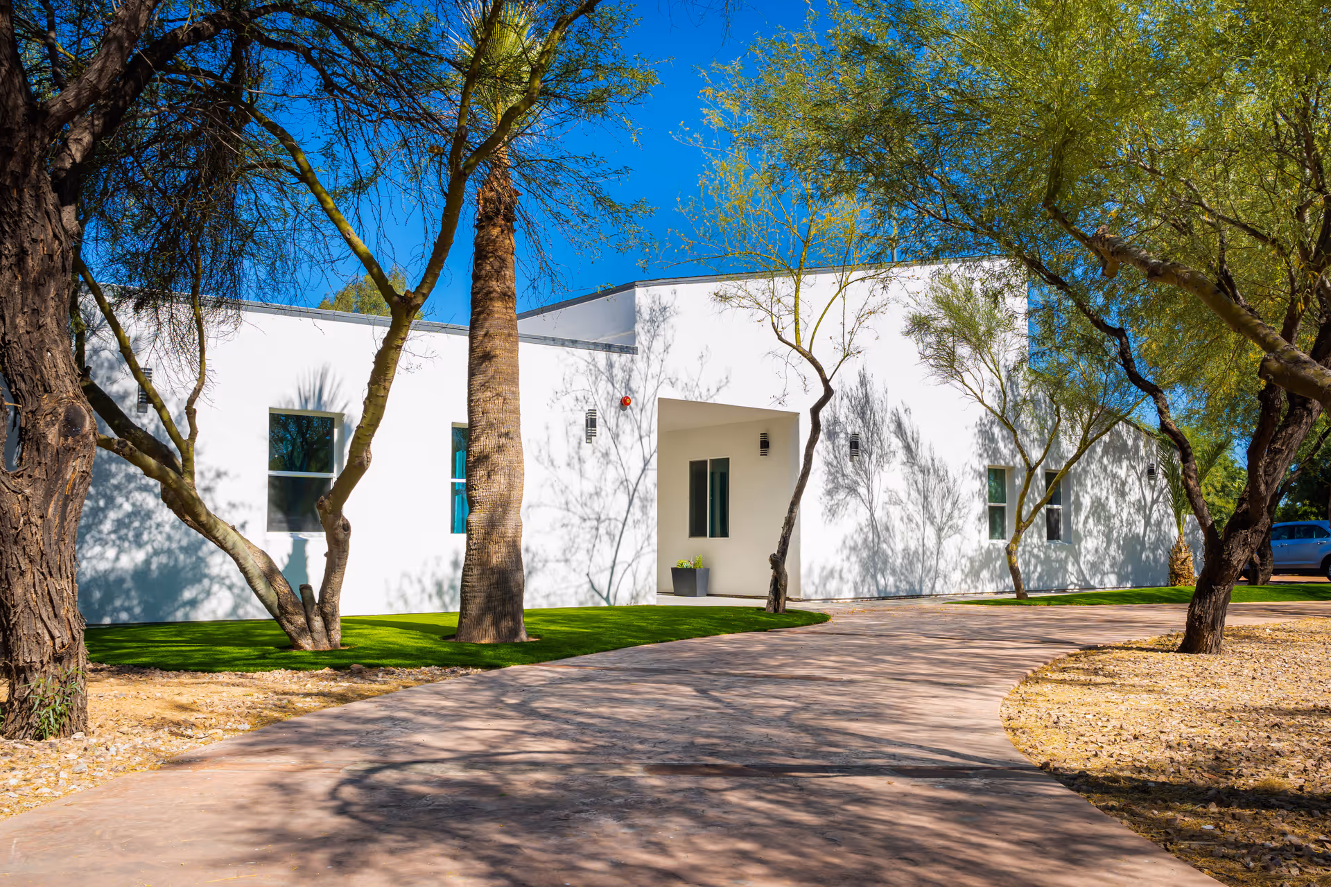 A modern white building with a flat roof surrounded by trees and a curved paved driveway under a clear blue sky.