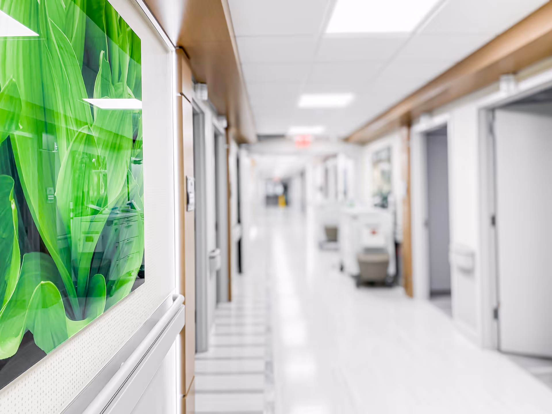 A bright, clean hallway in a senior living facility with white floors and walls, several open doors along the corridor, and a large green leafy artwork on the left wall.