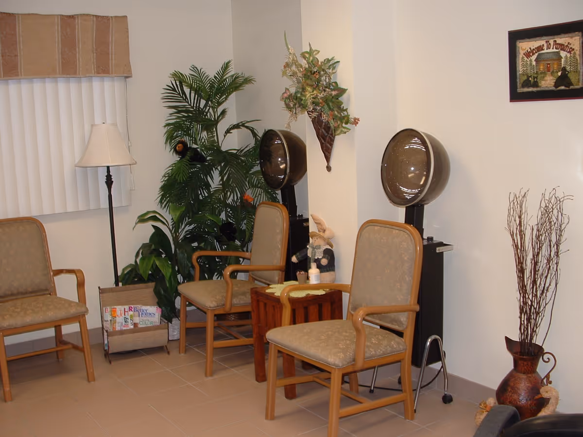 A cozy room with three cushioned wooden chairs arranged around a small wooden table. Two vintage hair dryers stand against the wall. There are several plants, including a tall leafy plant and a vase with dried branches. A floor lamp is positioned near a window with vertical blinds and a valance. A framed picture hangs on the wall.