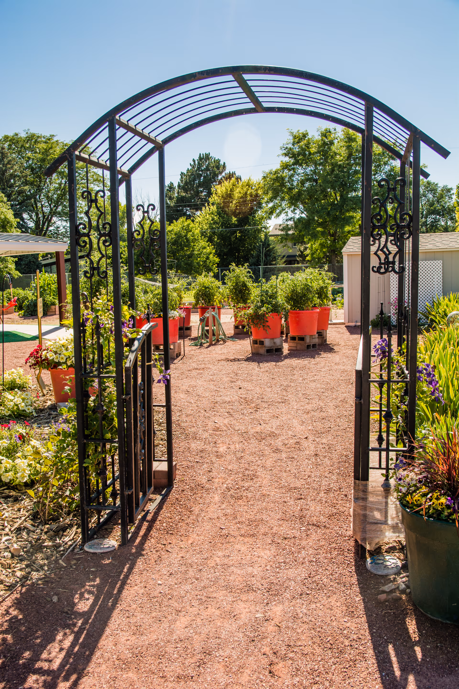A garden area with a decorative black metal archway entrance, red gravel pathway, and multiple red plant pots with green plants. Trees and a small shed are visible in the background under a clear blue sky.
