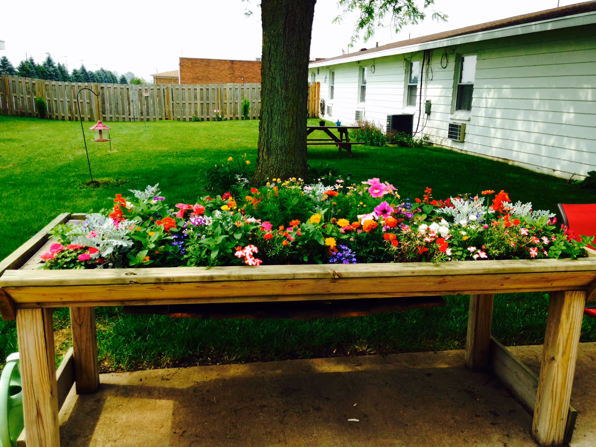A raised wooden planter box filled with colorful flowers including pink, red, white, purple, and yellow blooms, situated outdoors on a concrete surface with a grassy yard, a tree, a picnic table, and a white building with windows in the background.