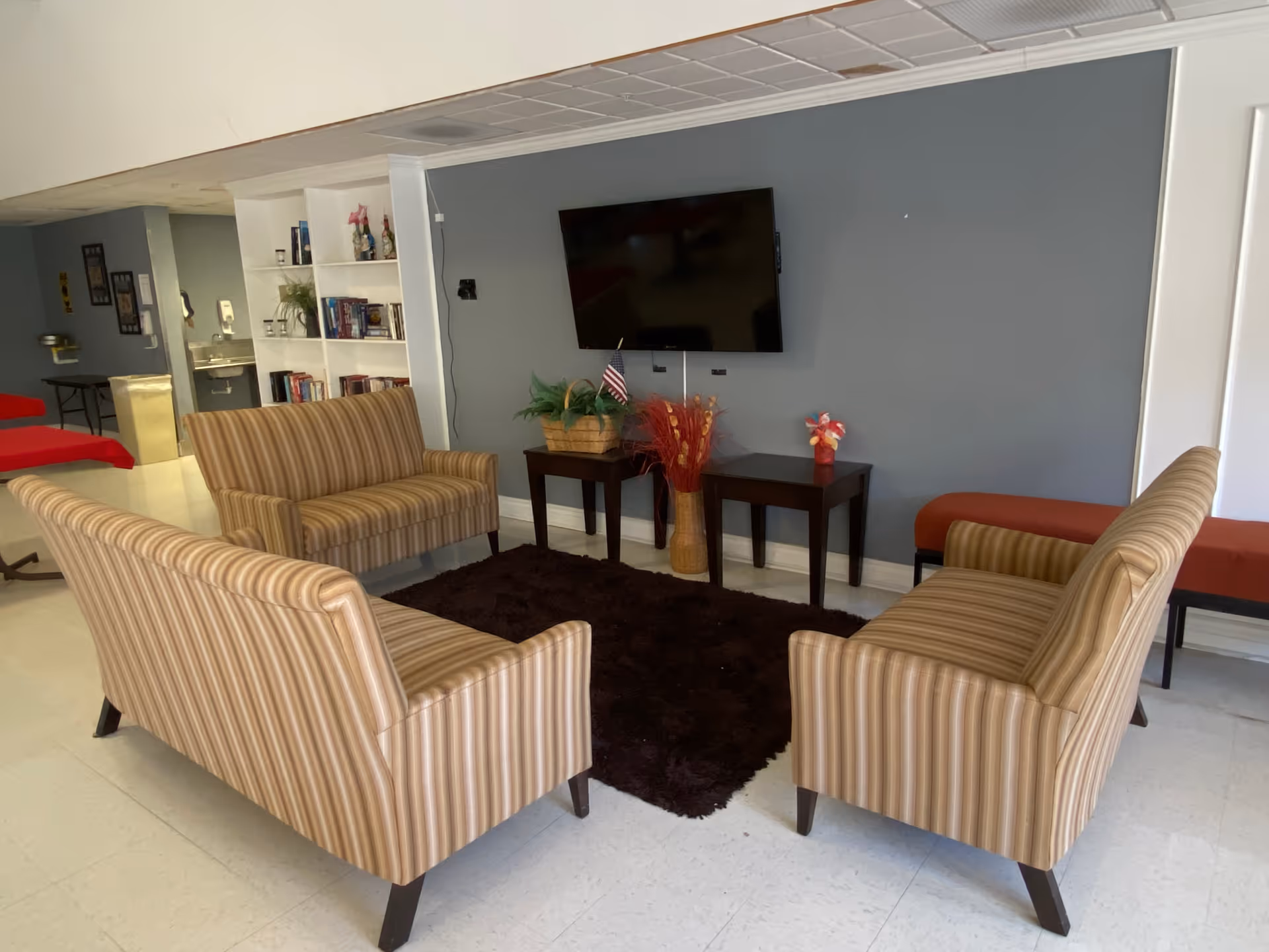 A cozy sitting area with four striped armchairs arranged around a dark brown rug. A flat-screen TV is mounted on a gray wall above two small tables decorated with plants and flowers. In the background, there is a white bookshelf with books and decorative items, and a red bench along the wall.