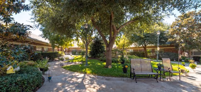 A sunny outdoor courtyard area with a large tree in the center surrounded by green grass and bushes. There are paved walkways, several benches, and lampposts. The courtyard is enclosed by single-story buildings with windows and a tiled roof.