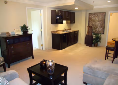 Interior view of a living area in The Grand Regency facility featuring beige carpet, a small kitchenette with dark cabinets and a sink, a dark wooden dresser with a plant on top, a coffee table with decorative vases, a cushioned armchair, and wall art with a large vase and plant in the corner.