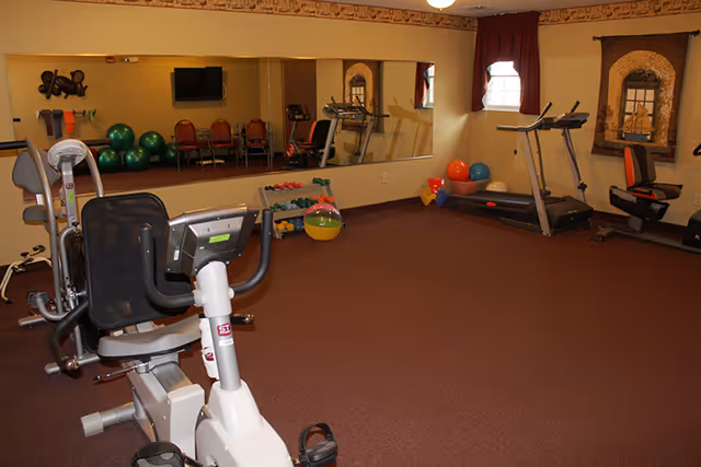 Exercise room with various fitness equipment including a recumbent bike, treadmill, stationary bike, exercise balls, and a rack of dumbbells. The room has carpeted flooring, a large mirror on one wall, two windows with red curtains, and decorative wall art.