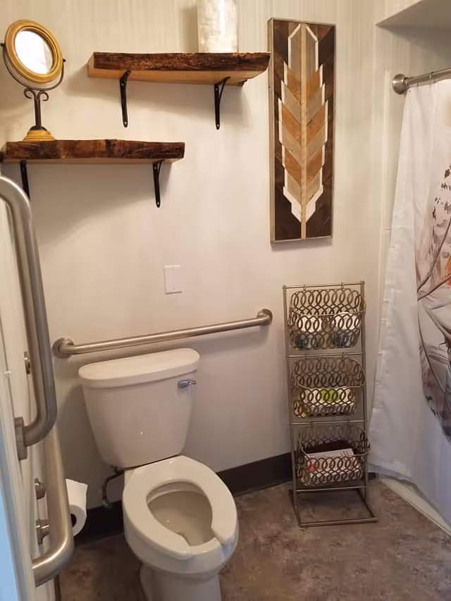 A bathroom with a white toilet featuring a raised seat and grab bars on the wall and door for accessibility. There are two wooden shelves mounted on the wall, a decorative wooden wall art piece, and a metal rack with three baskets holding various items. A shower curtain with a feather design is partially visible on the right side.