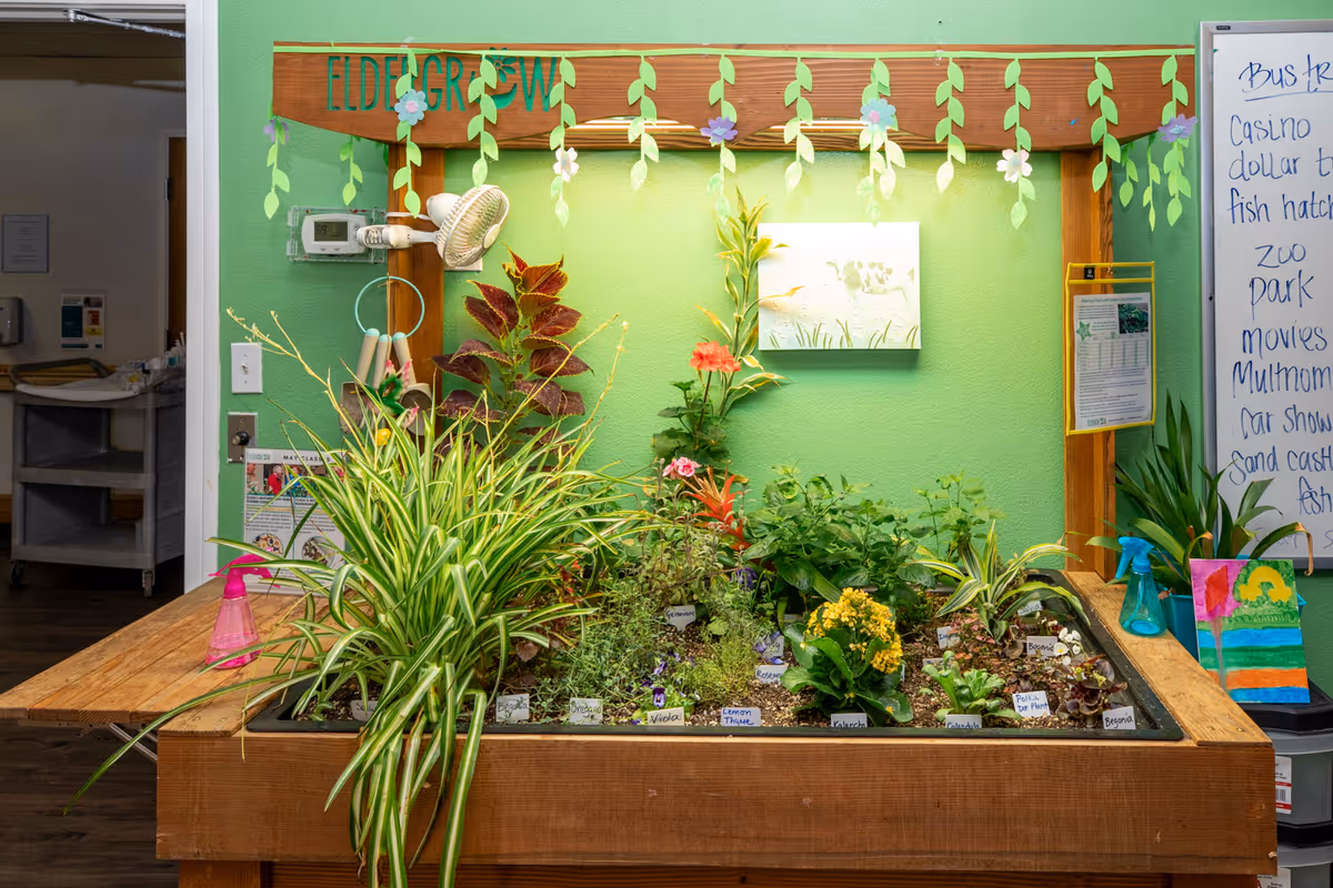 Indoor gardening station with various plants and herbs growing in a wooden planter box labeled 'Elder Grow'. The background wall is green with hanging paper vines and flowers. A whiteboard with handwritten notes and a colorful painting are visible on the right side. A small fan and spray bottles are also present on the table.
