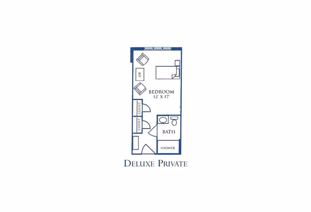 Floor plan of a deluxe private room measuring 12 feet by 17 feet, featuring a bedroom area with a bed, two chairs, a dresser, two closets, and an attached bathroom with a shower.