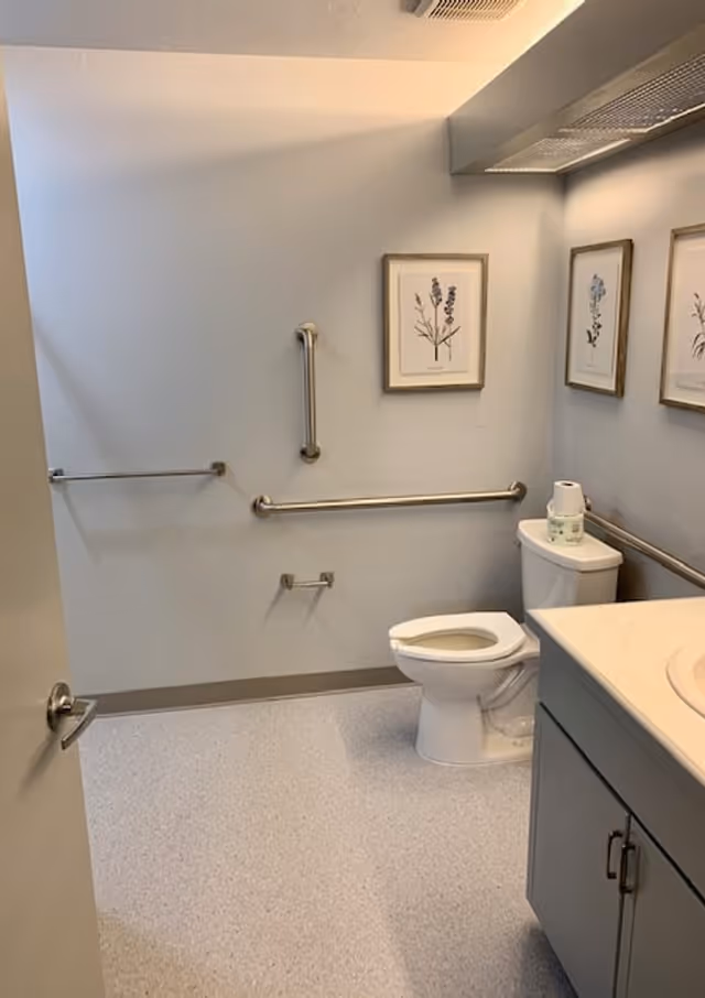 A clean, accessible bathroom with a white toilet, grab bars on the walls, a countertop with a sink, and three framed botanical prints hanging on the wall.