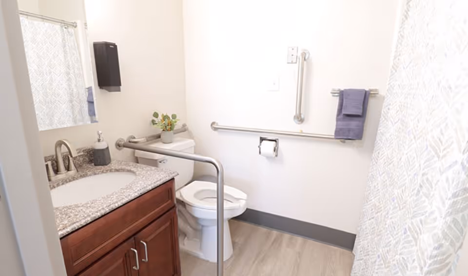 Accessible bathroom with a toilet, grab bars, sink vanity with granite countertop, and a shower curtain.