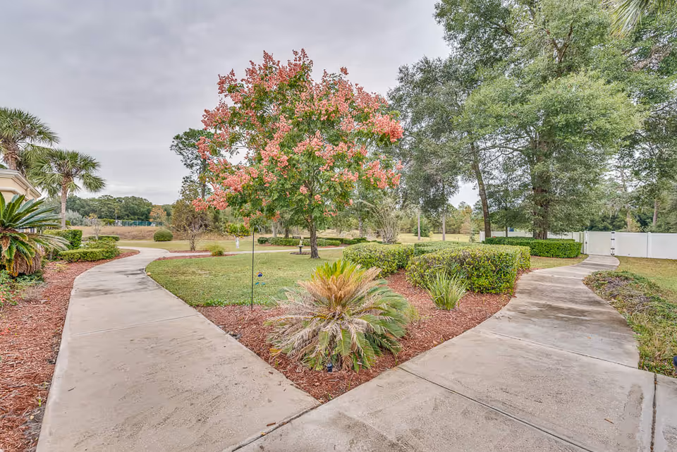 A landscaped outdoor area with two concrete walkways diverging around a garden bed containing a small palm plant and a tree with pink flowers. Surrounding the paths are green bushes, trees, and a grassy lawn under a cloudy sky.