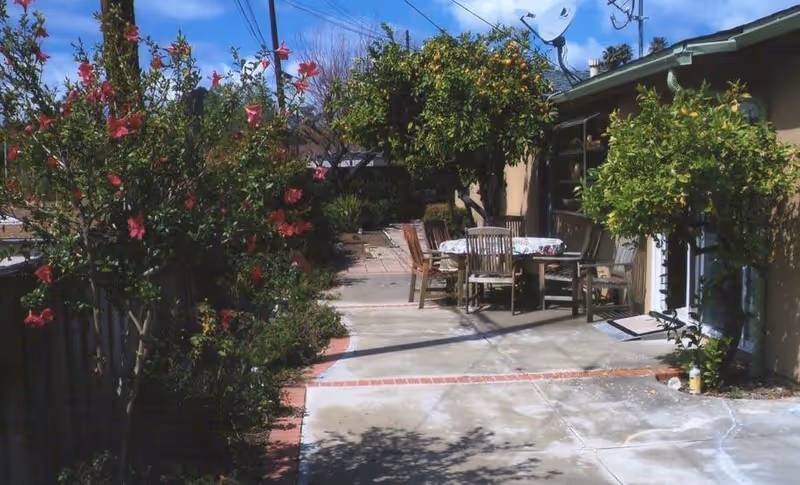 Outdoor patio area with a concrete floor and a round table covered with a floral tablecloth surrounded by wooden chairs. There are flowering bushes and trees with fruit along the sides, and a building with windows and a door on the right side.