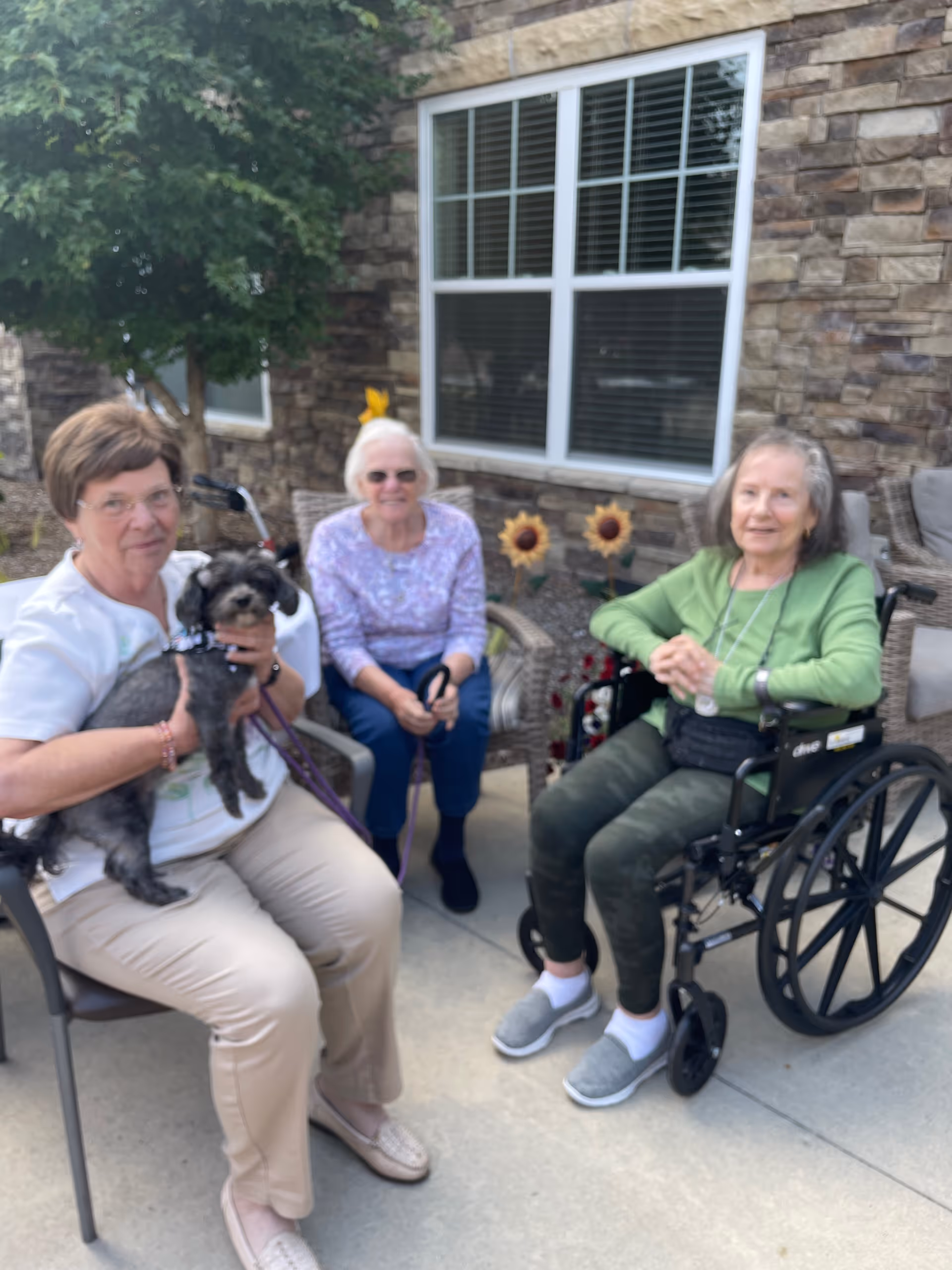 Three elderly women sitting outside near a stone building wall with a window. One woman is holding a small black dog, another woman is sitting on a chair, and the third woman is seated in a wheelchair. There are decorative sunflowers and greenery in the background.
