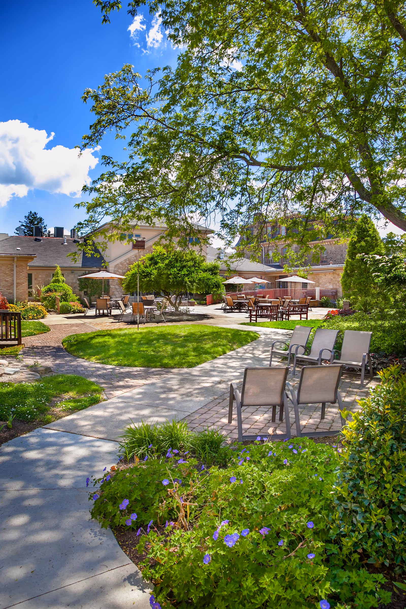 Sunny landscaped courtyard with walkways, patio chairs and tables with umbrellas surrounded by trees and flower beds.