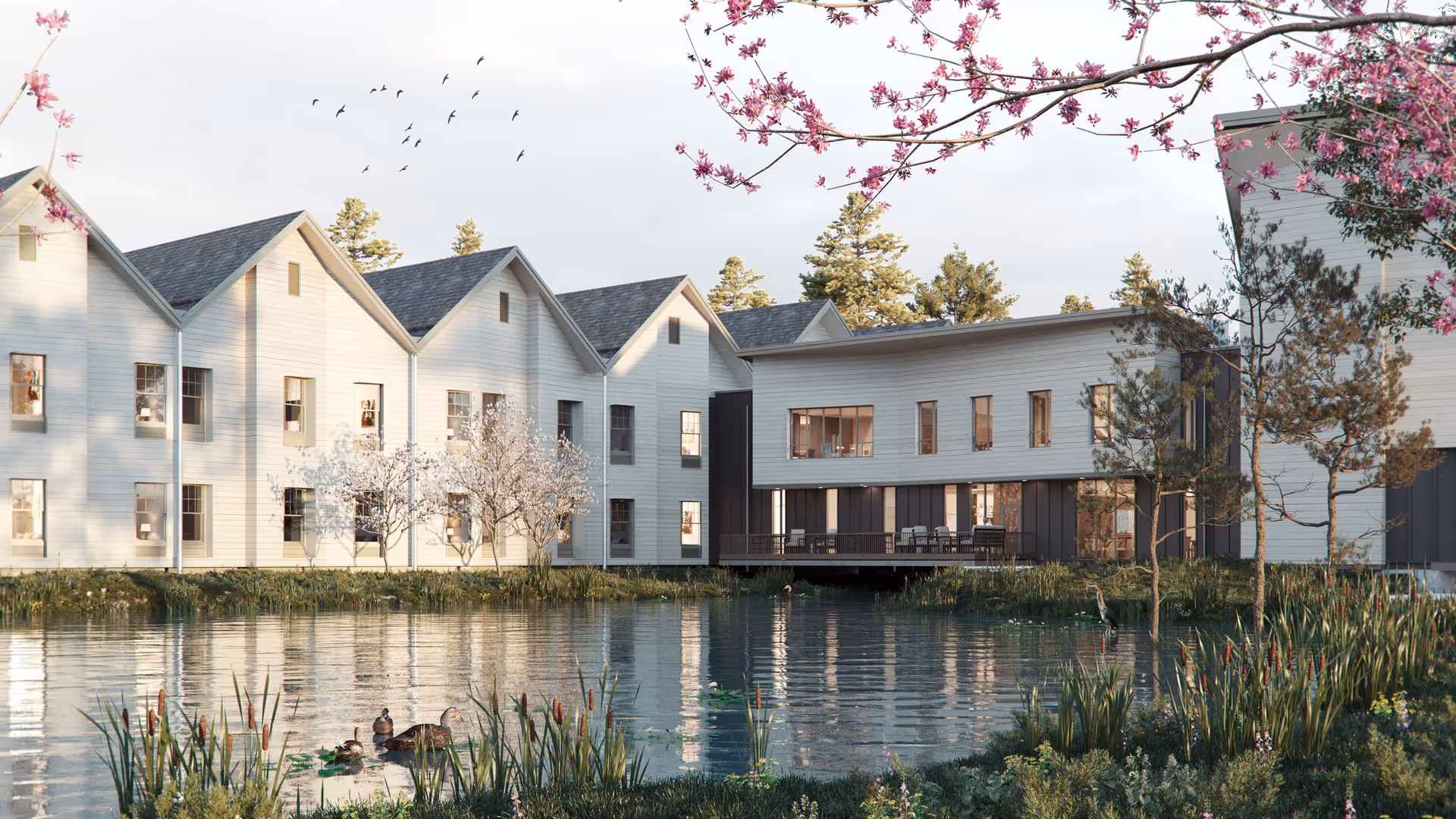 White multi-wing senior living building with gabled roofs beside a pond with ducks, trees, and flowering branches.
