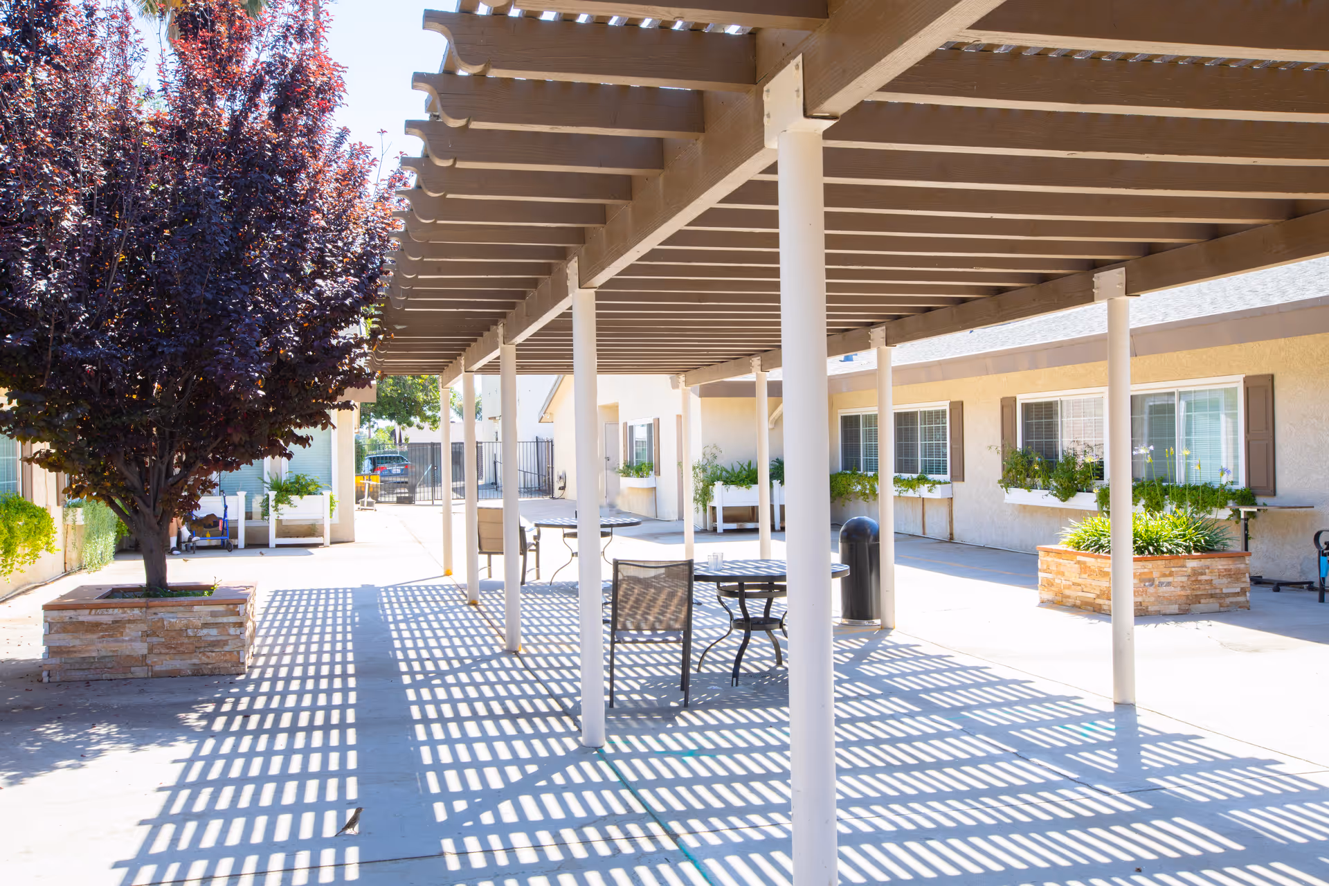 Outdoor patio area at Maclay Healthcare Center with a wooden pergola casting striped shadows on the concrete ground. There are tables and chairs under the pergola, potted plants, and a tree in a raised brick planter. The building exterior has windows with flower boxes and beige walls.
