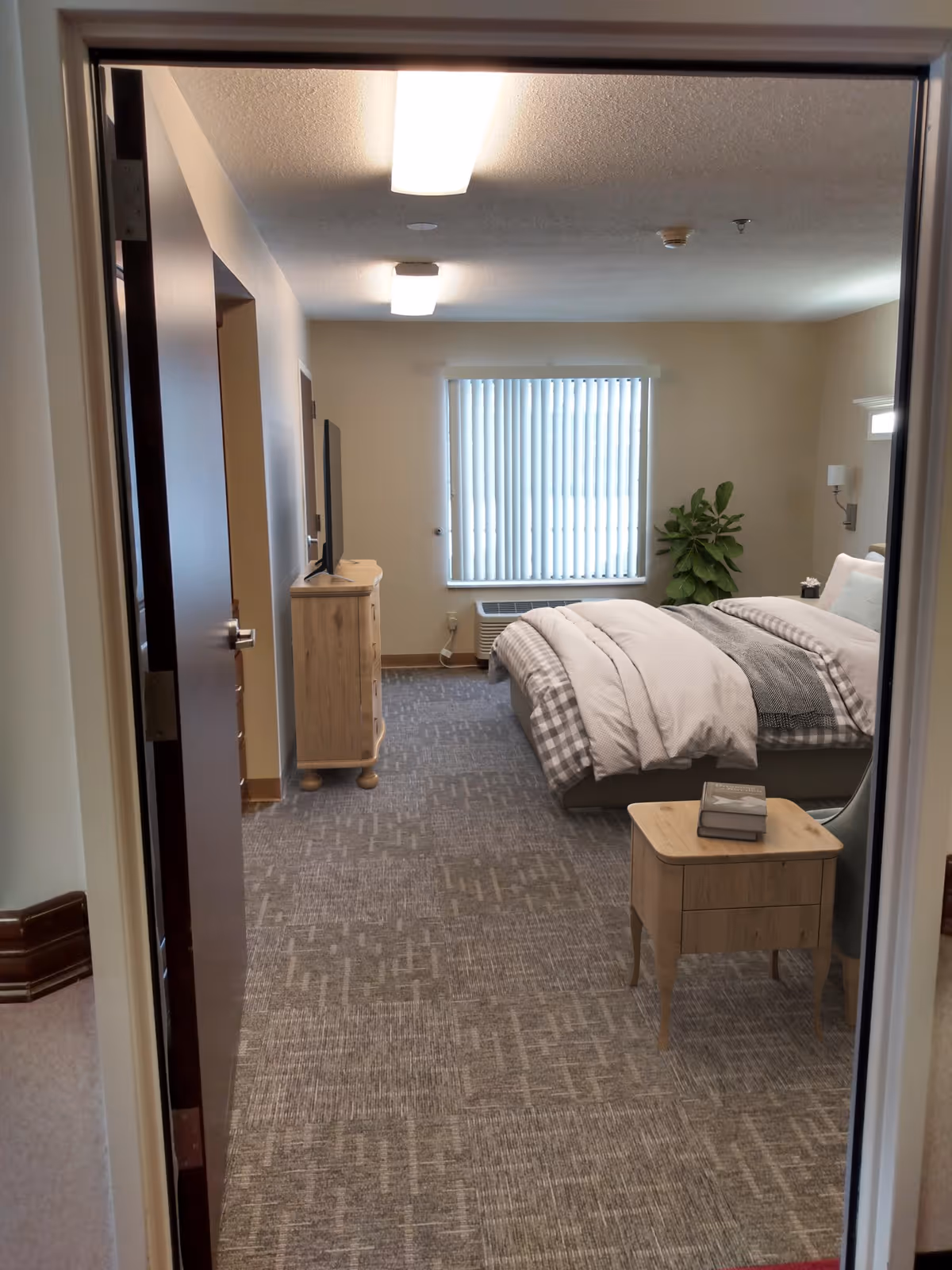View through an open doorway into a bedroom with a neatly made bed, a wooden nightstand with books, a wooden dresser with a TV on top, a window with vertical blinds, and a potted plant in the corner. The room has carpeted flooring and ceiling lights.